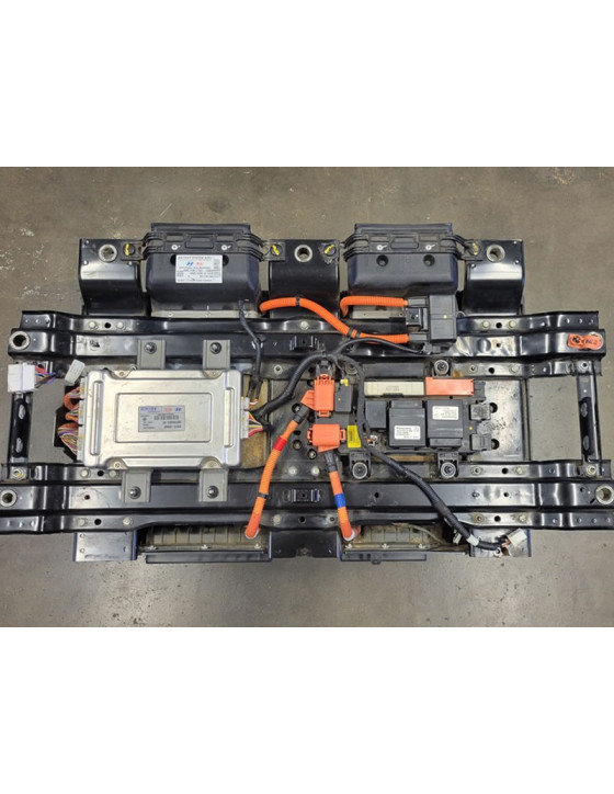2016-2019 Hyundai Sonata/Kia Optima Hybrid Battery Assembly - E6000